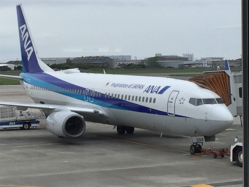 ana airplane