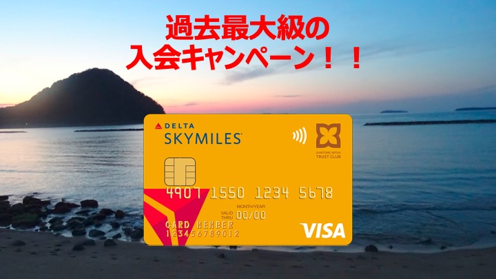 デルタスカイマイルVISA