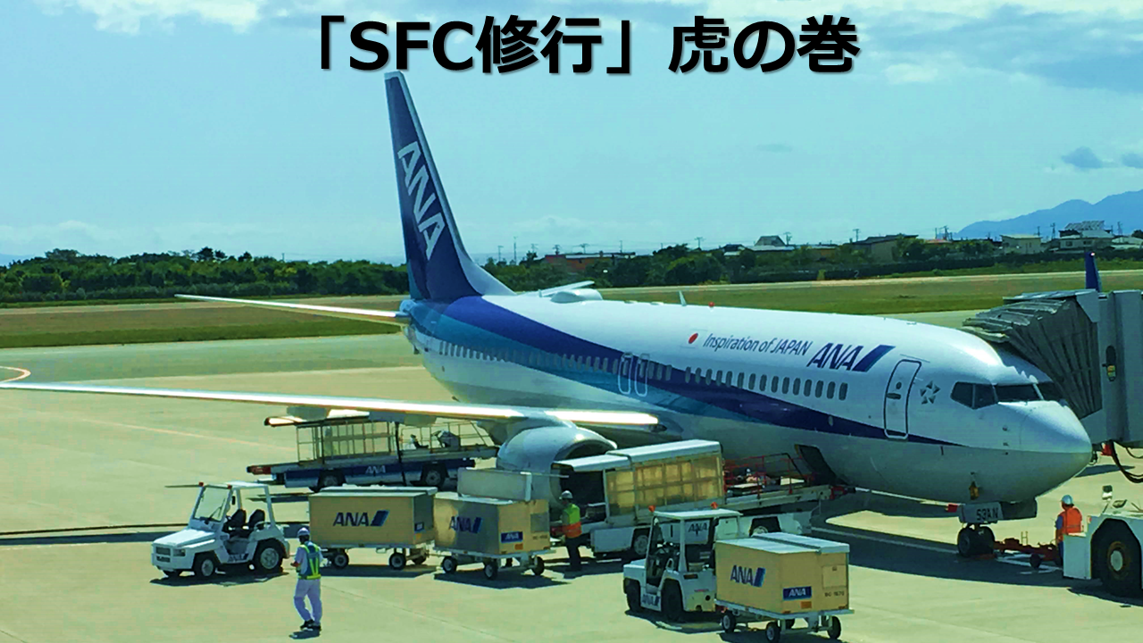 SFC修行虎の巻