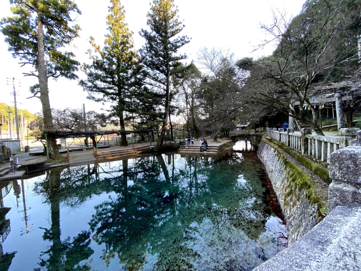 別府弁天池湧水